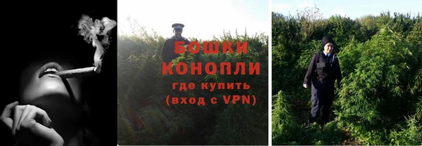 дурь Алексеевка