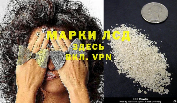 прущие грибы Абдулино