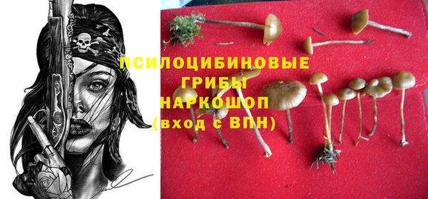 дурь Алексеевка