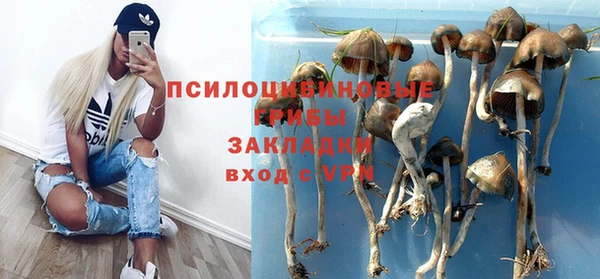 прущие грибы Абдулино