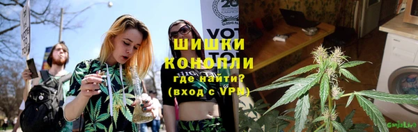 дурь Алексеевка